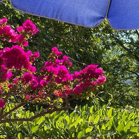 Вилла Spiti Galini, 